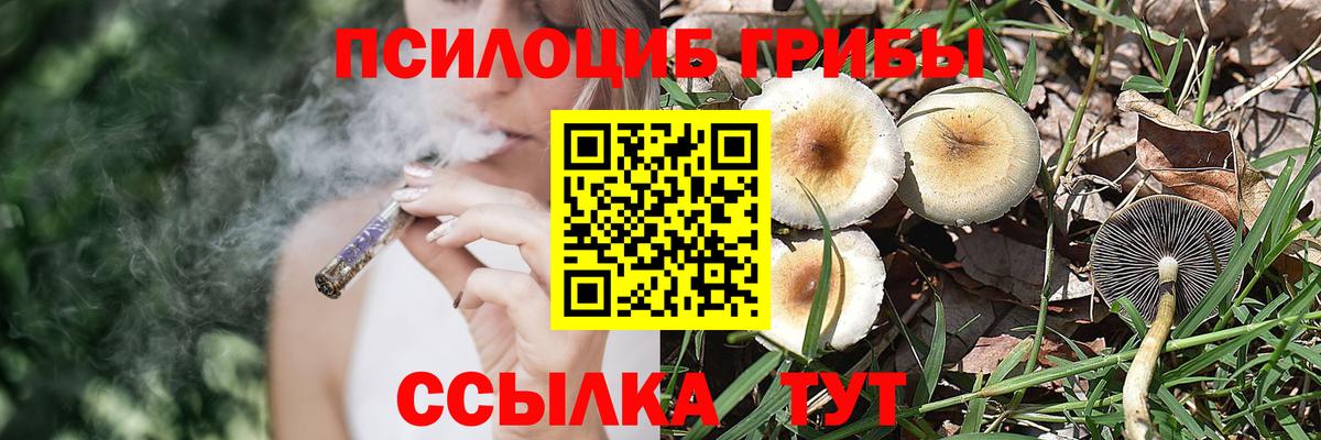 Псилоцибиновые грибы Magic Shrooms Луга