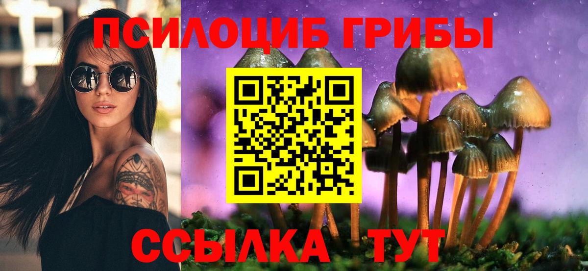 Луга  Псилоцибиновые грибы прущие грибы  Вход с VPN 